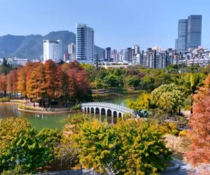 【深圳-南山四海公园】属于深圳人自己的“秋冬限定”