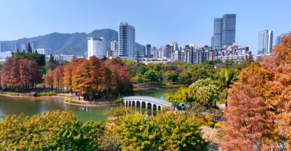 【深圳-南山四海公园】属于深圳人自己的“秋冬限定”